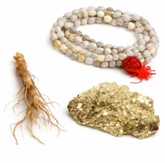 Money Magnet Combo ⭐